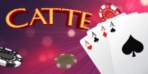 Đôi nét thông tin cơ bản về game bài catte